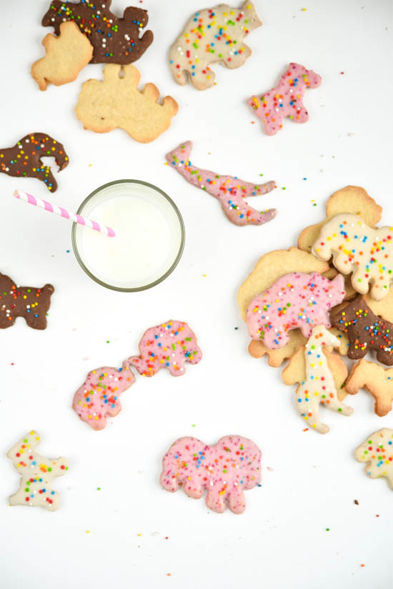Homemade Frosted Circus Animal Cookies (FOOD PHOTO SHOOT) — Steemit